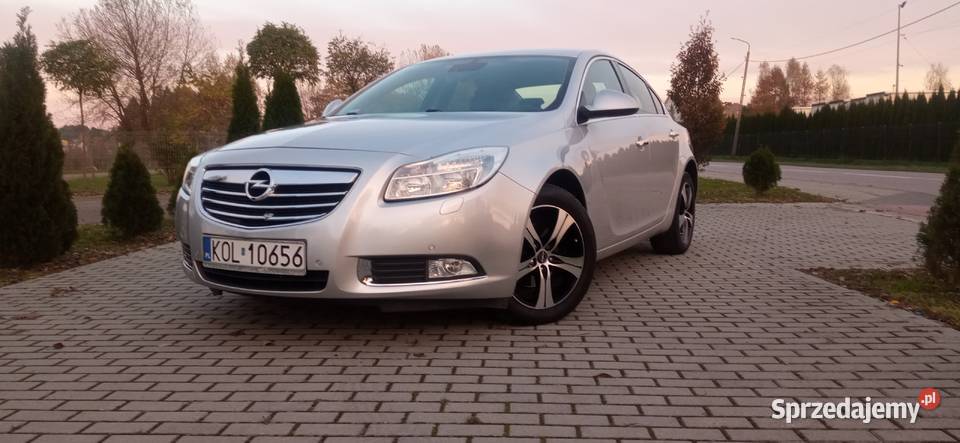 Insignia Wolbrom