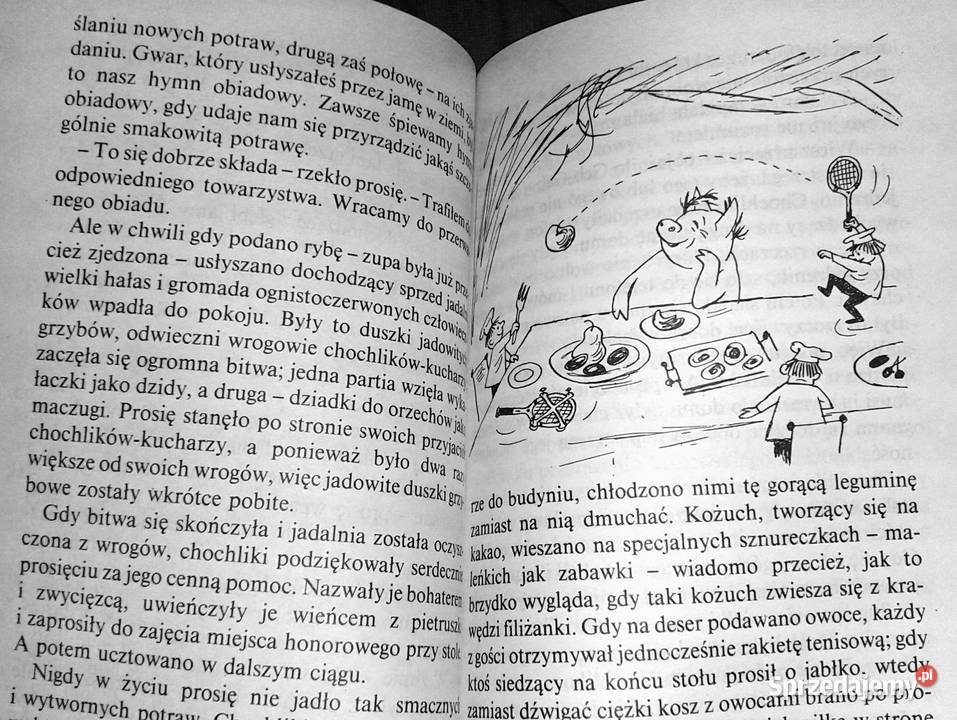 Poczta Doktora Dolittle Hugh Lofting