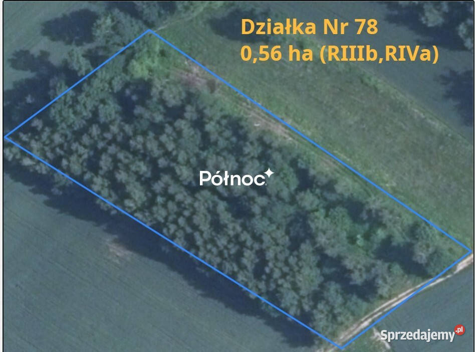 Sprzedam urokliwe siedlisko z działkami Bobliwo