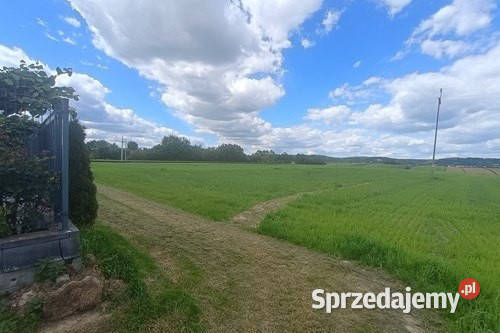 Działka rolna Cholerzyn 5400 m2 sprzedam