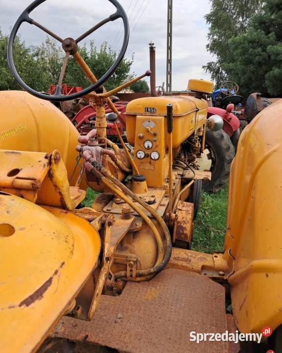 Traktor MINNEAPOLIS MOLINE Z Gniewkowo sprzedam