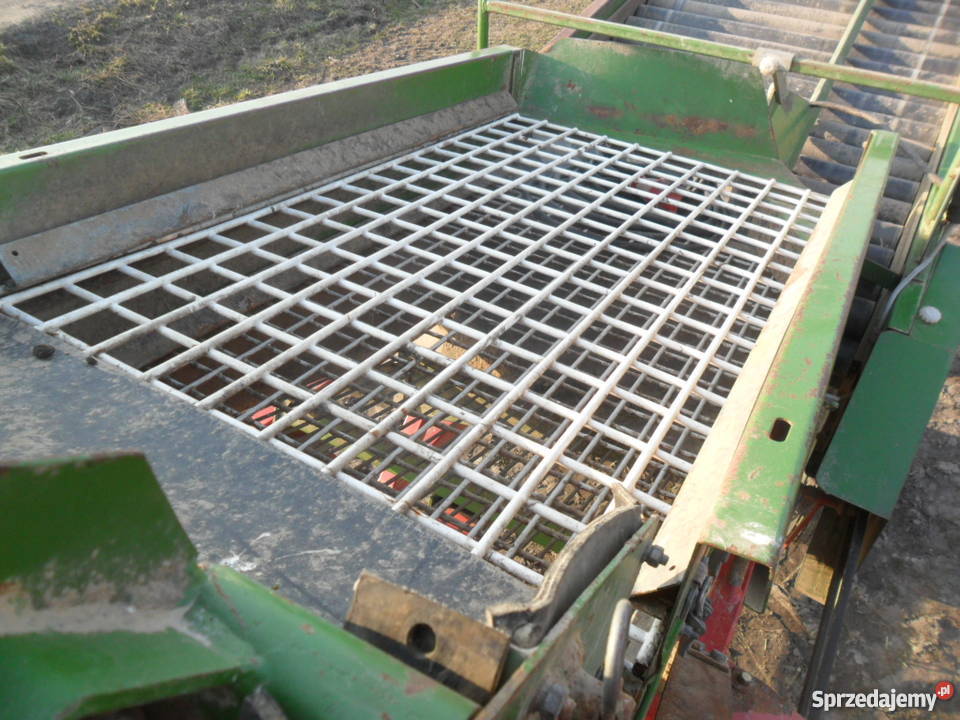 sortownik do ziemniaków cebulu remprodex