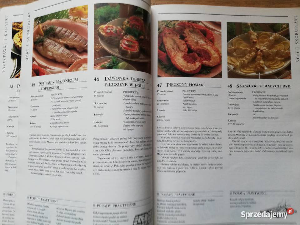 Grill i dania na piknik Poradniki, albumy i reportaże małopolskie Kraków