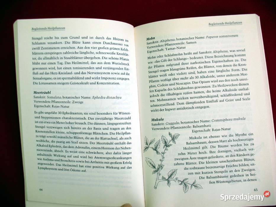 Die Heilkraft des Ingwer Marianne J Voelk mazowieckie Siedlce sprzedam