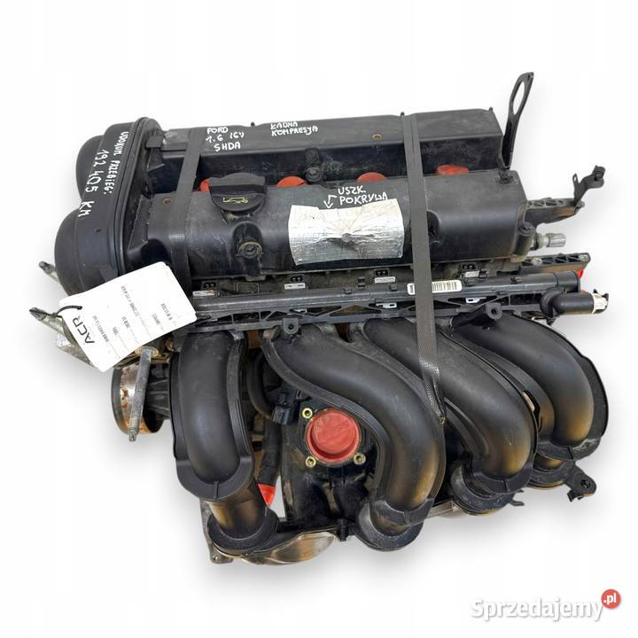 SILNIK SHDA Ford Focus II MK2 C C 16 16V 100 sprzedam