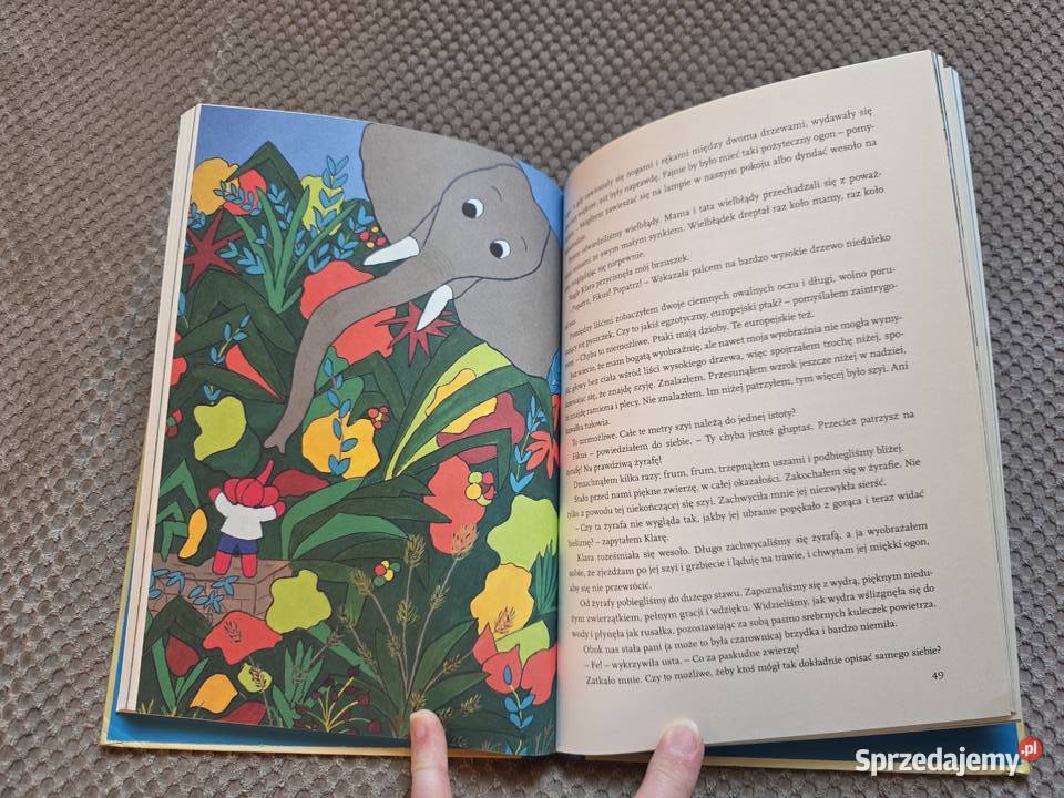 Fikus Wanda Mycielska małopolskie Kraków