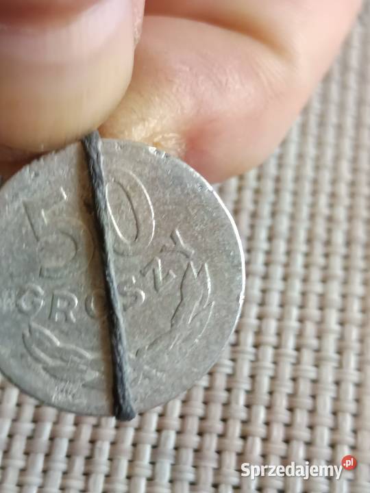 sprzedam 50 groszy 1957 qqqqq Chełm sprzedam
