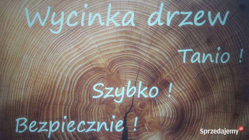Wycinki drzew Warszawa Powiat Warszawski