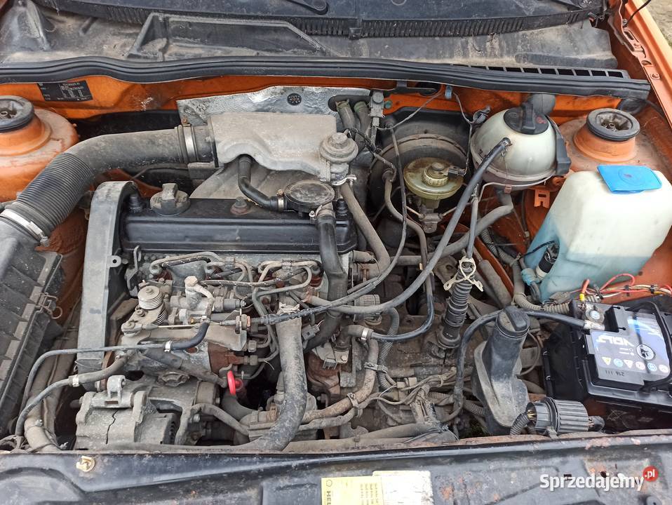Caddy chłodnia 19D izoterma Inca Sochaczew