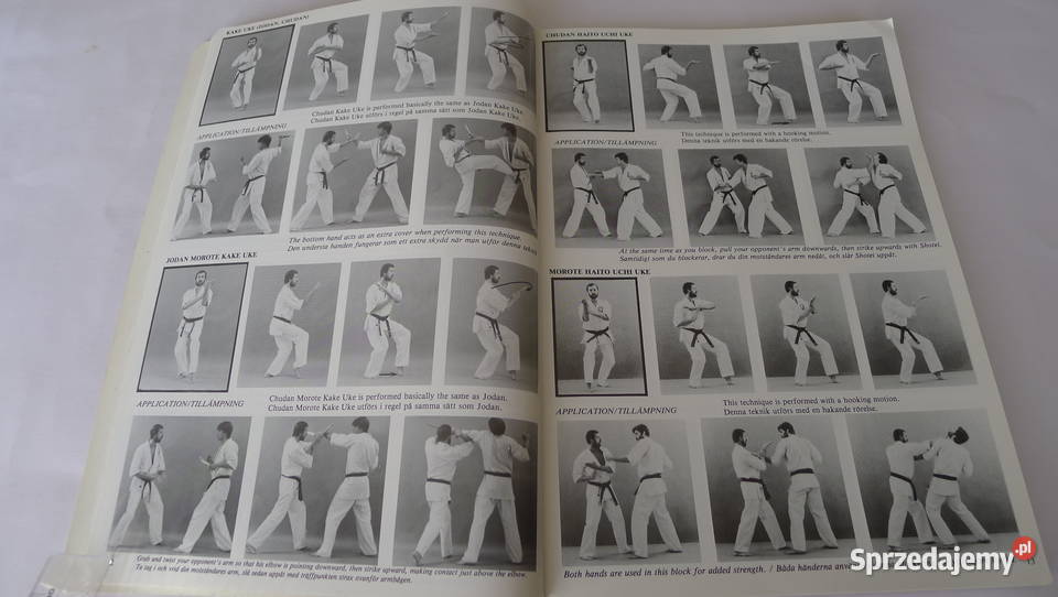Cook Power Karate t III 1985 Oyama ArneilFitkin Radom