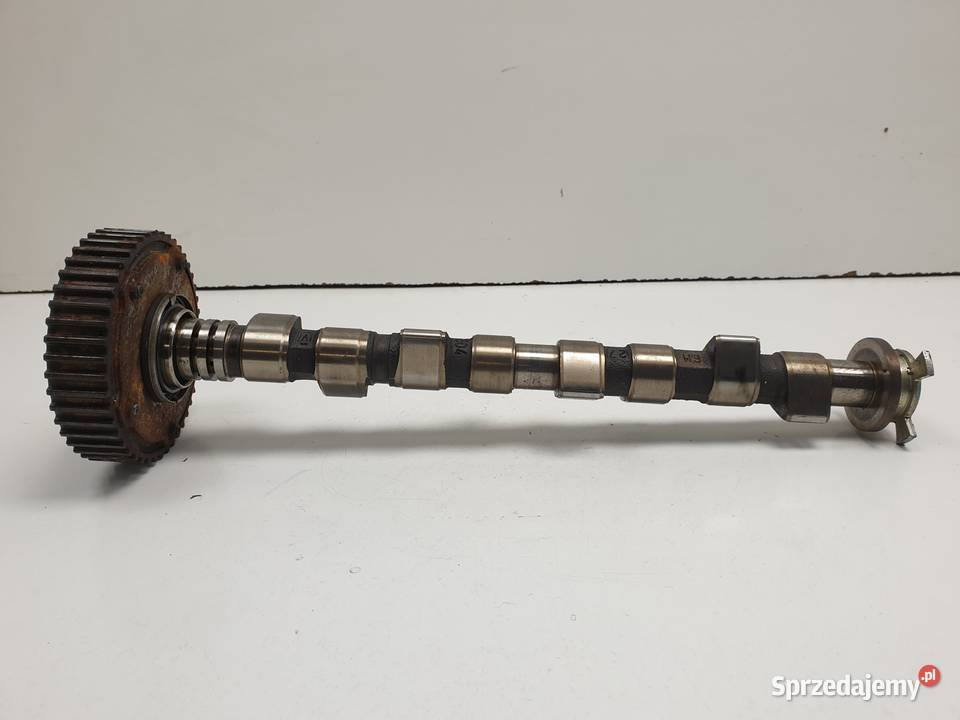 WAŁEK ROZRZĄDU Fiat 500 12 8V koło faz WARIATOR lubelskie Chełm