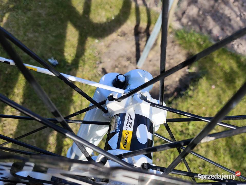 Rower giant Górskie, MTB Lubin