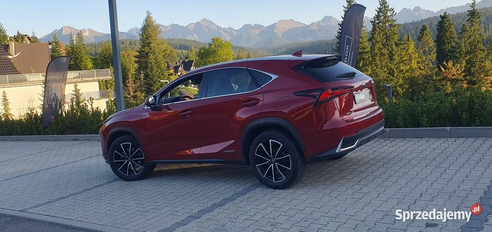 Piękny LEX PoLIFT Hybryda Gwarancja ASO małopolskie Nowy Sącz sprzedam