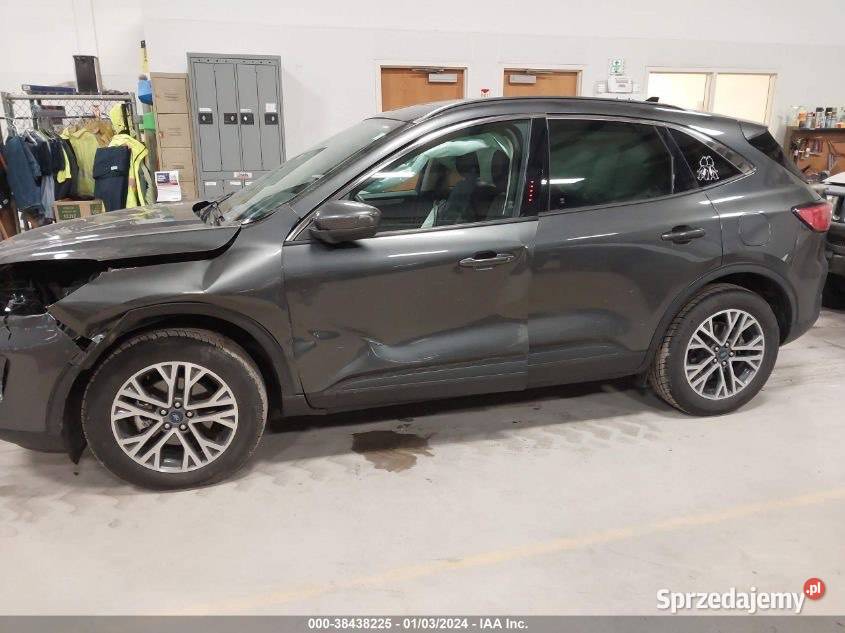 FORD KUGA ESCAPE 2020 USA STANY KANADA Tarnowo Podgórne