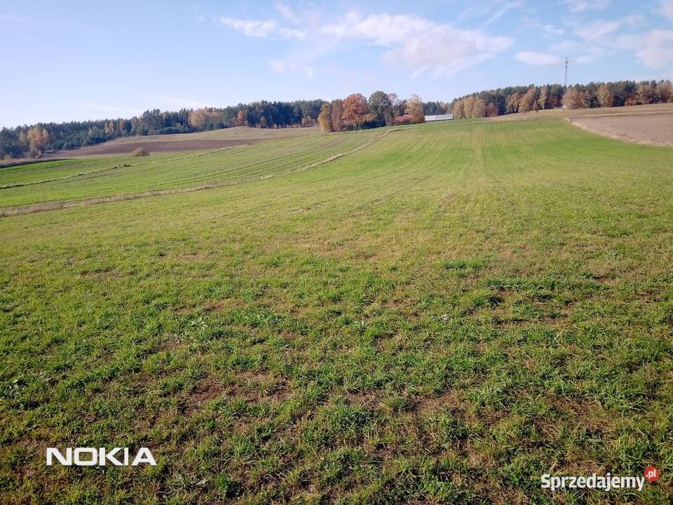 Super OkazjaStare Juchy Działka 7500m 15 złm2 Sprzedaż Stare Juchy sprzedam