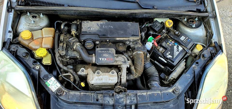 Ford Fiesta MK6 14 diesel 68 Klimatyzacja sprowadzony wielkopolskie