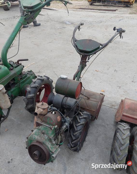 Glegogryzarki Agria pakiet 5 Pozostałe wielkopolskie Grabów nad Prosną