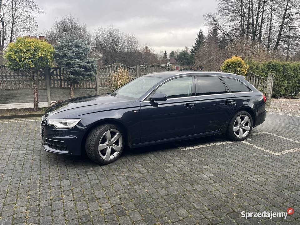 Bezwypadkowy Oryginał Kurzelów