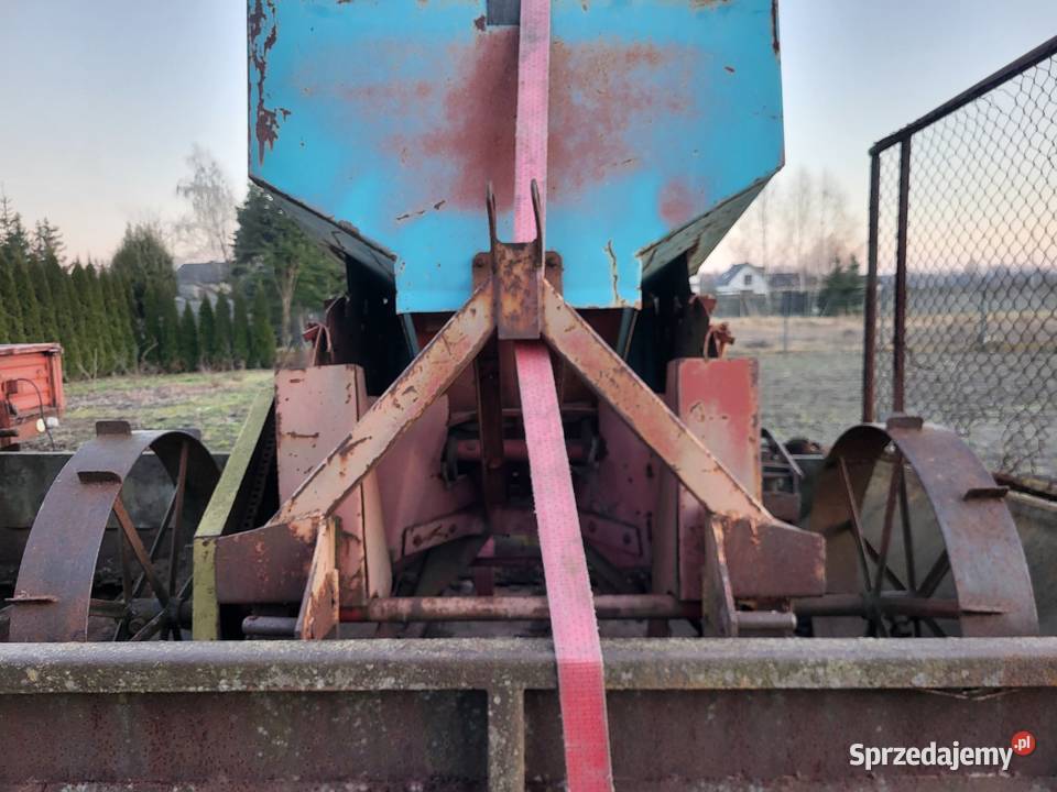 Sadzarka solan lublin Wiskitki