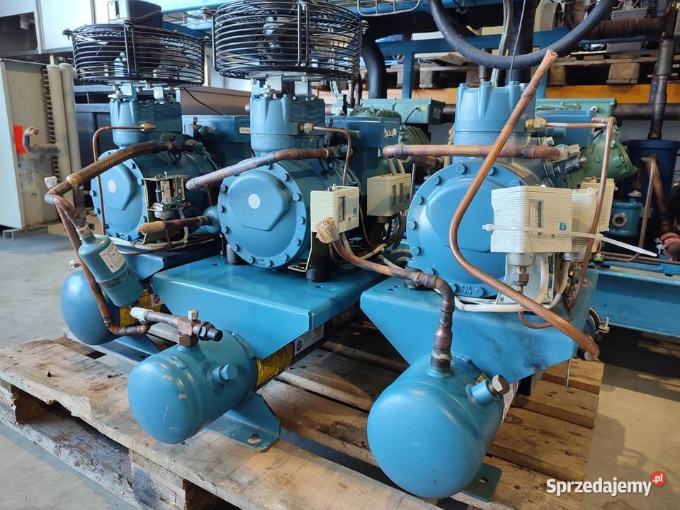 Sprężarka chłodnicza Frascold D319Y 19m3 10kW Niedźwiedź