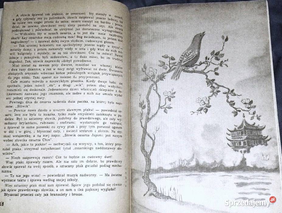 Brzydkie kaczątko i inne baśnie J Christian Chełm