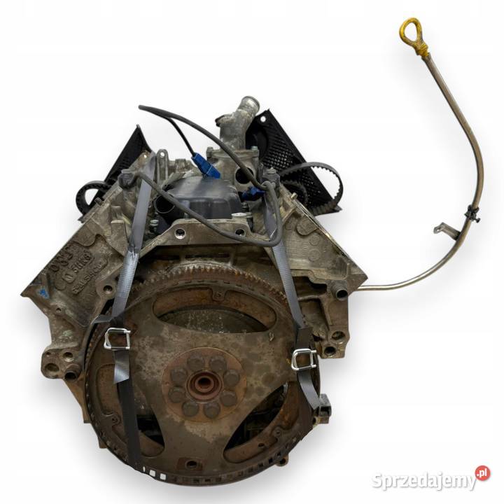 DÓŁ SILNIKA ASN Audi A4 B6 A6 C5 A8 D3 30 V6 220 Chełm