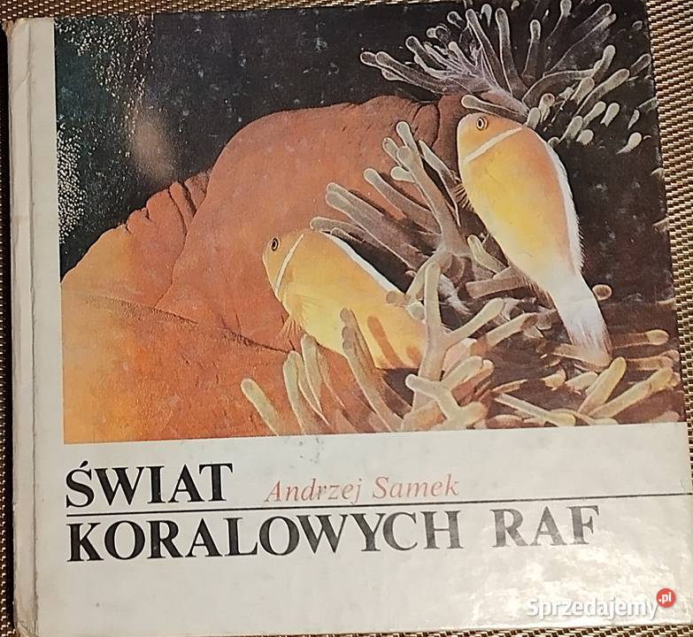 książki dzieci Bukowno sprzedam