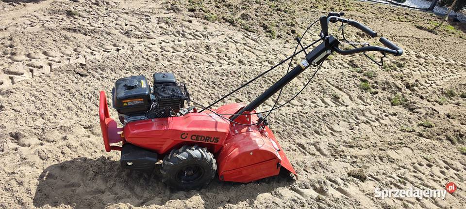 Wynajem profesjonalnego Wertykulatora Weibang Pozostałe