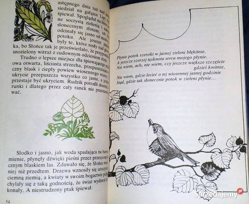 Boży ludek Waldemar Bonsels