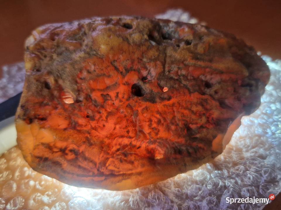 Bursztyn bałtycki 136 g wyjątkowy okaz Warszawa