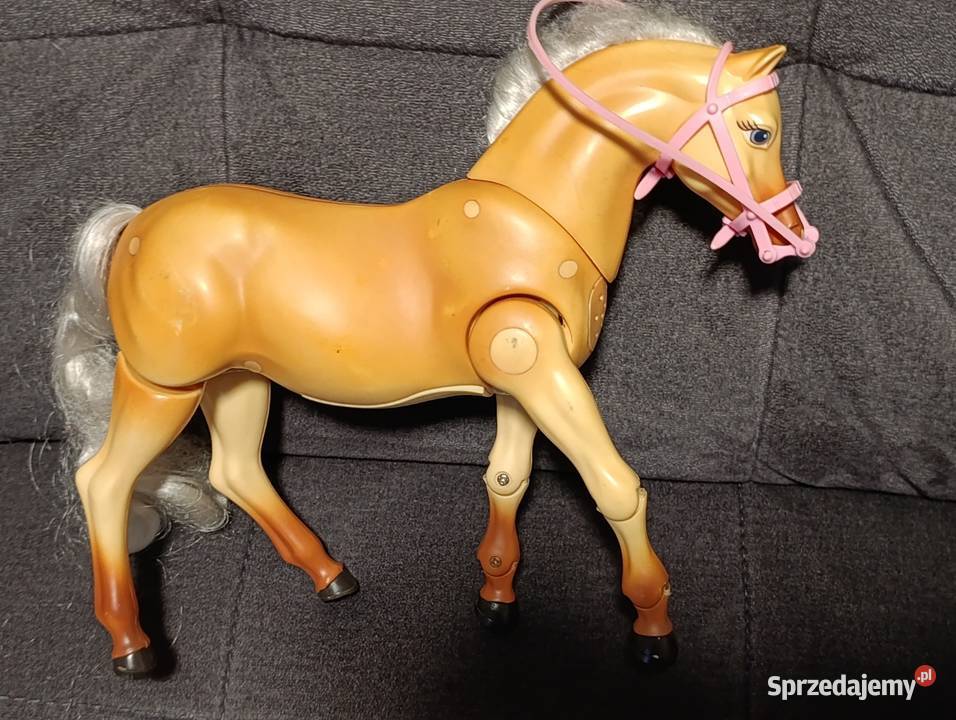 interaktywny koń Poznań