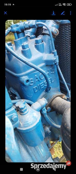 Dzik traktorek Mordy