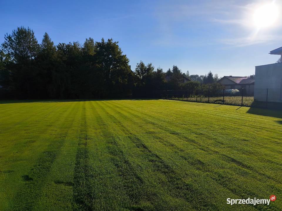 Ogrodnik Białystok Projektowanie zakładanie podlaskie