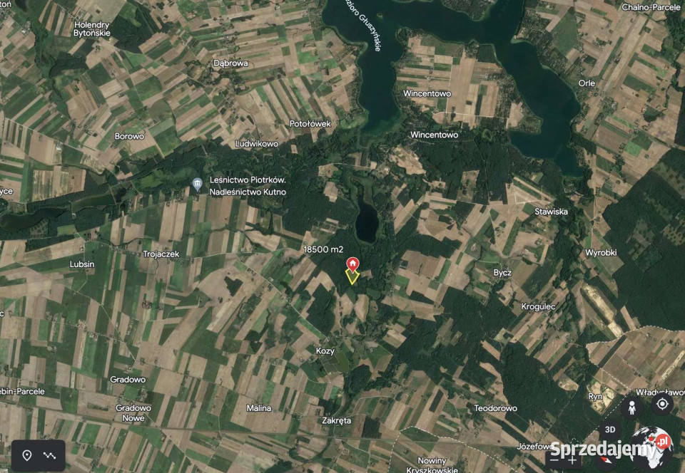 Działka z linią brzegową jeziora