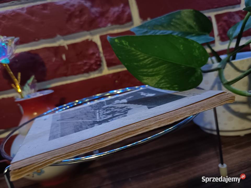 Miniatury Morskie Skarbiec Posejdona Andrzej