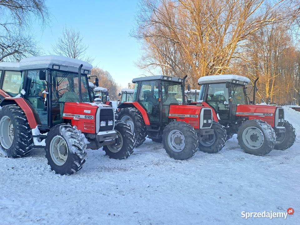 Massey Ferguson 6120 6140 6150 lubelskie Chełm