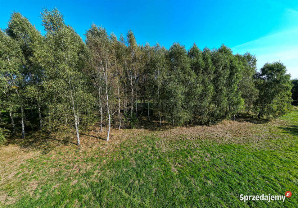 Działka budowlana z laskiem Darłowo
