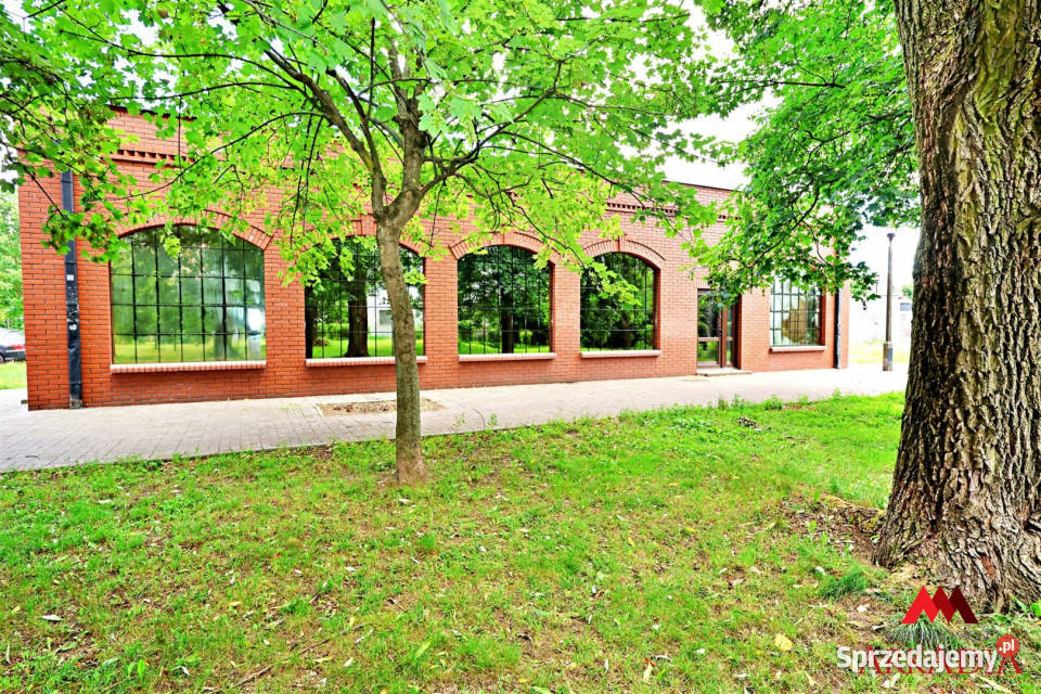 Lokal Włocławek 260m2 260m2
