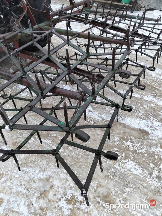 Sprzedam brony 5 Grudziąckie Długie pazury Huta Koszary