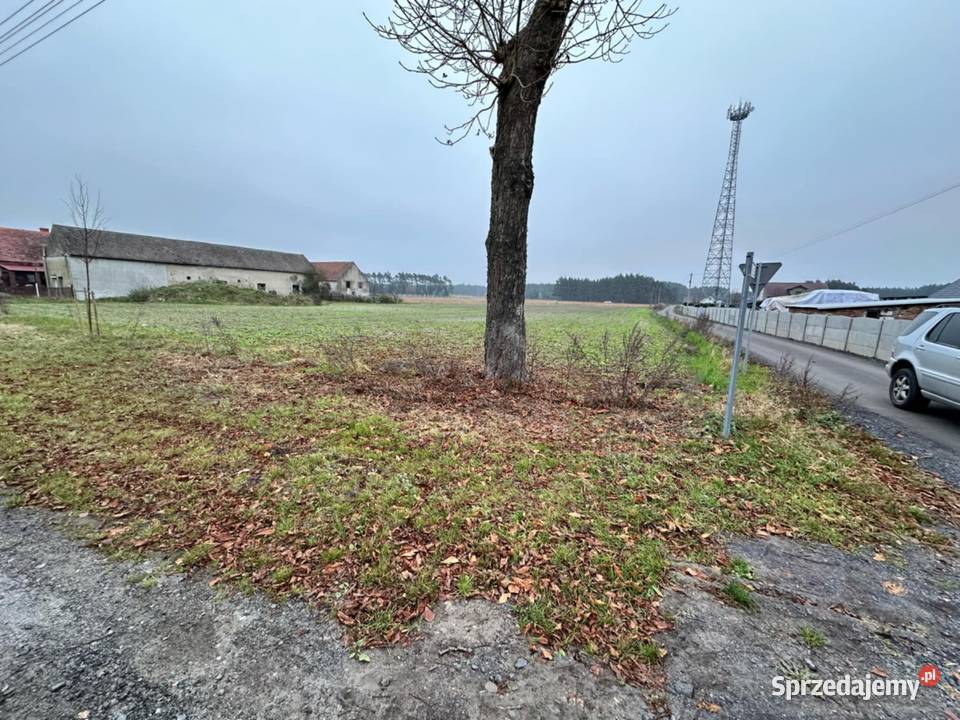 Działki budowlane w gminie Siedlisko miejscowość