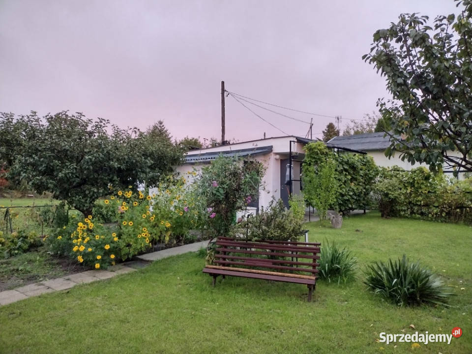 Działka ROD z domkiem 2026 Aleksandrów Kujawski sprzedam