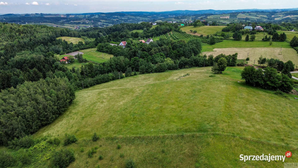 Grunt sprzedam 6500m2 Zegartowice Zegartowice prąd
