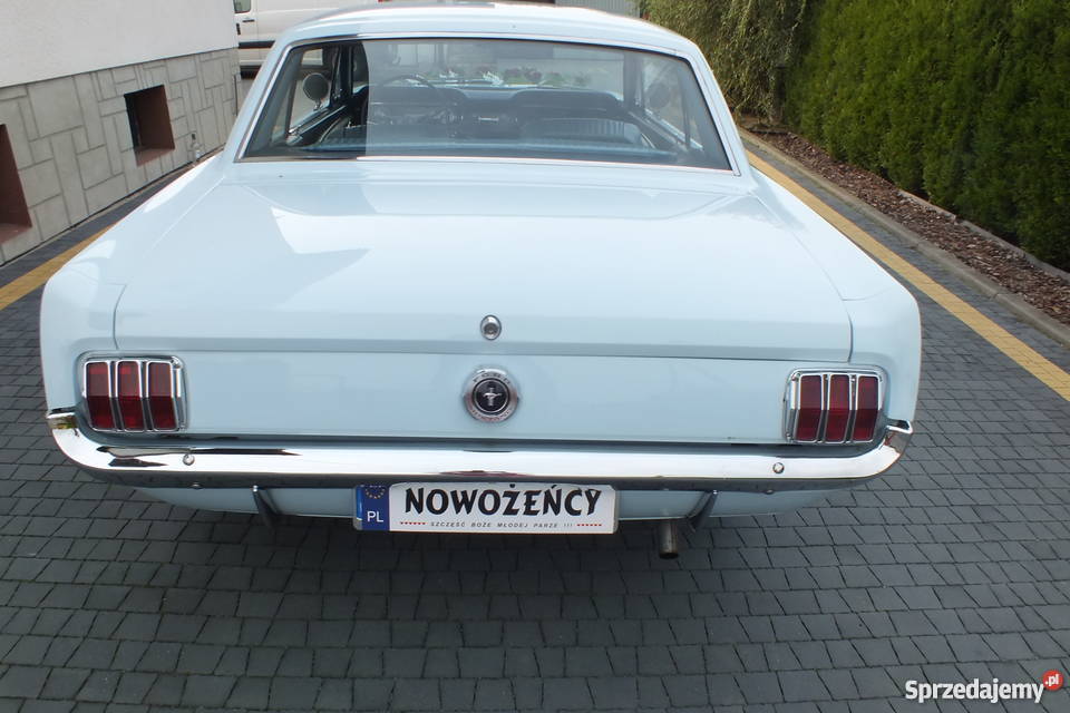 Auto Do Ślubu Wesele Ford Mustang ŚLĄSK śląskie Golasowice