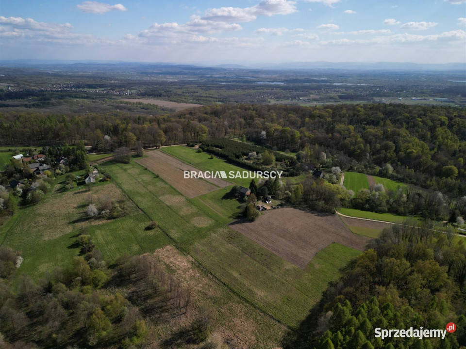 Grunt sprzedam 22110m2 Płaza Podlas 38zł/m2