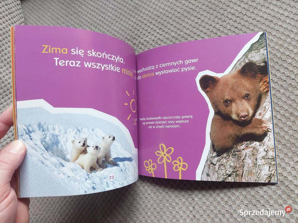 O gawrach czyli niedźwiedzich łóżkach Becky Rok wydania 2010 małopolskie