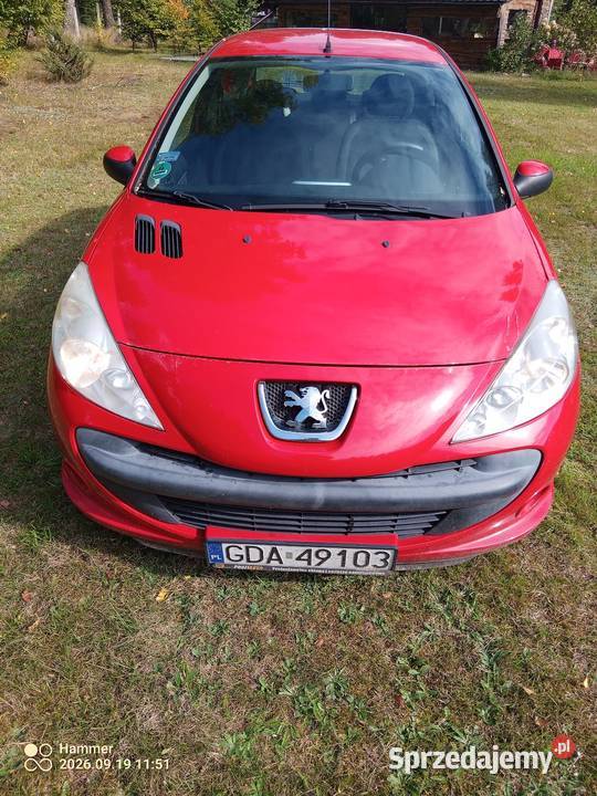 Peugeot 206 206 plus Nowa Kiszewa