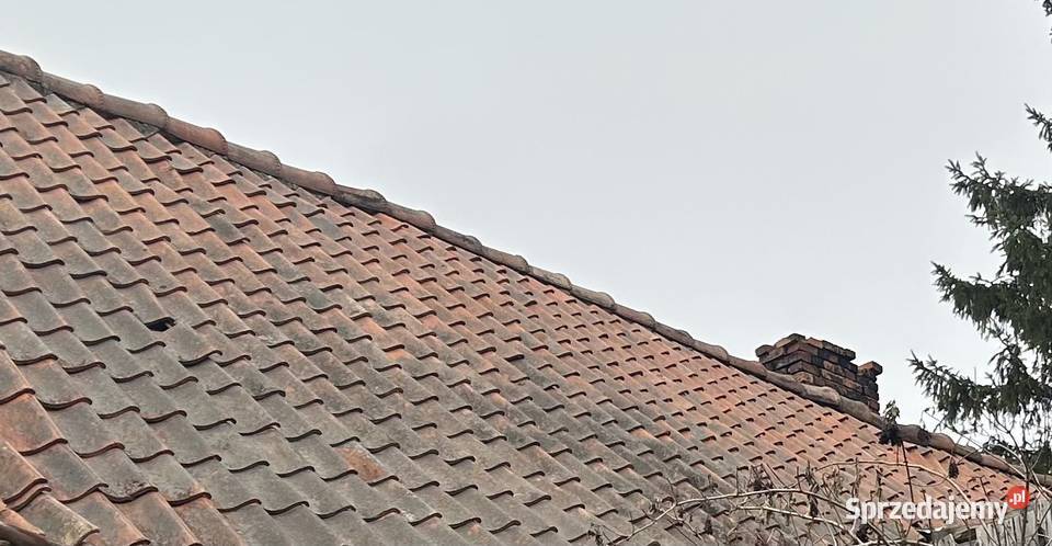 Dachówka poniemiecka Holenderka Elbląg sprzedam