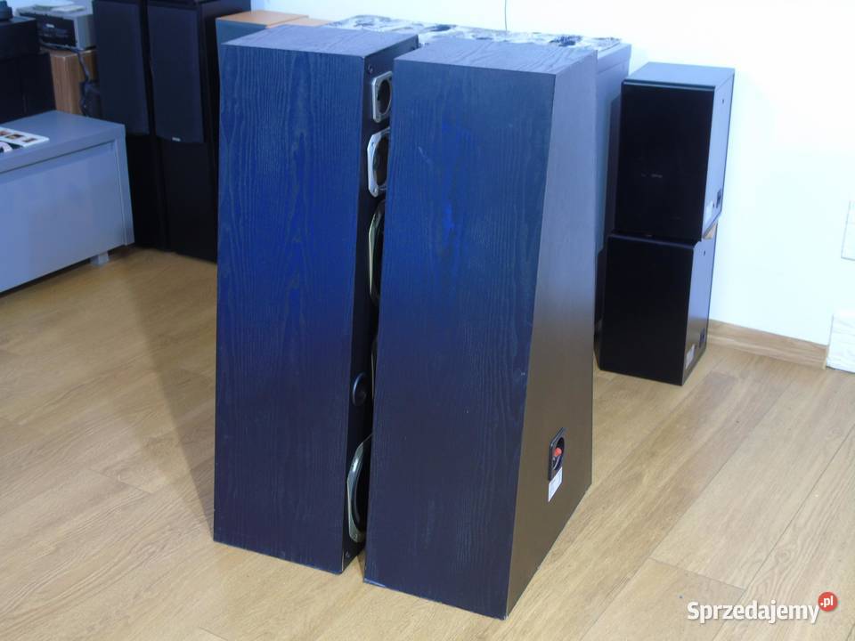 Kolumny imprezowe Pyramide 2 x 650 wat sprawne Jasło