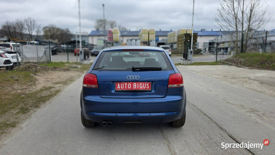 Audi A3 climatronic zarejestrowane super stan 8P Lębork
