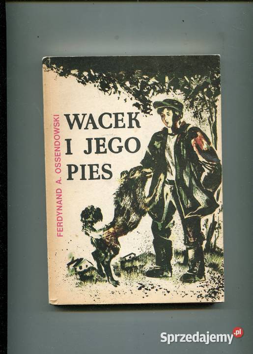 Wacek i jego pies Ossendowski Pozostałe zachodniopomorskie